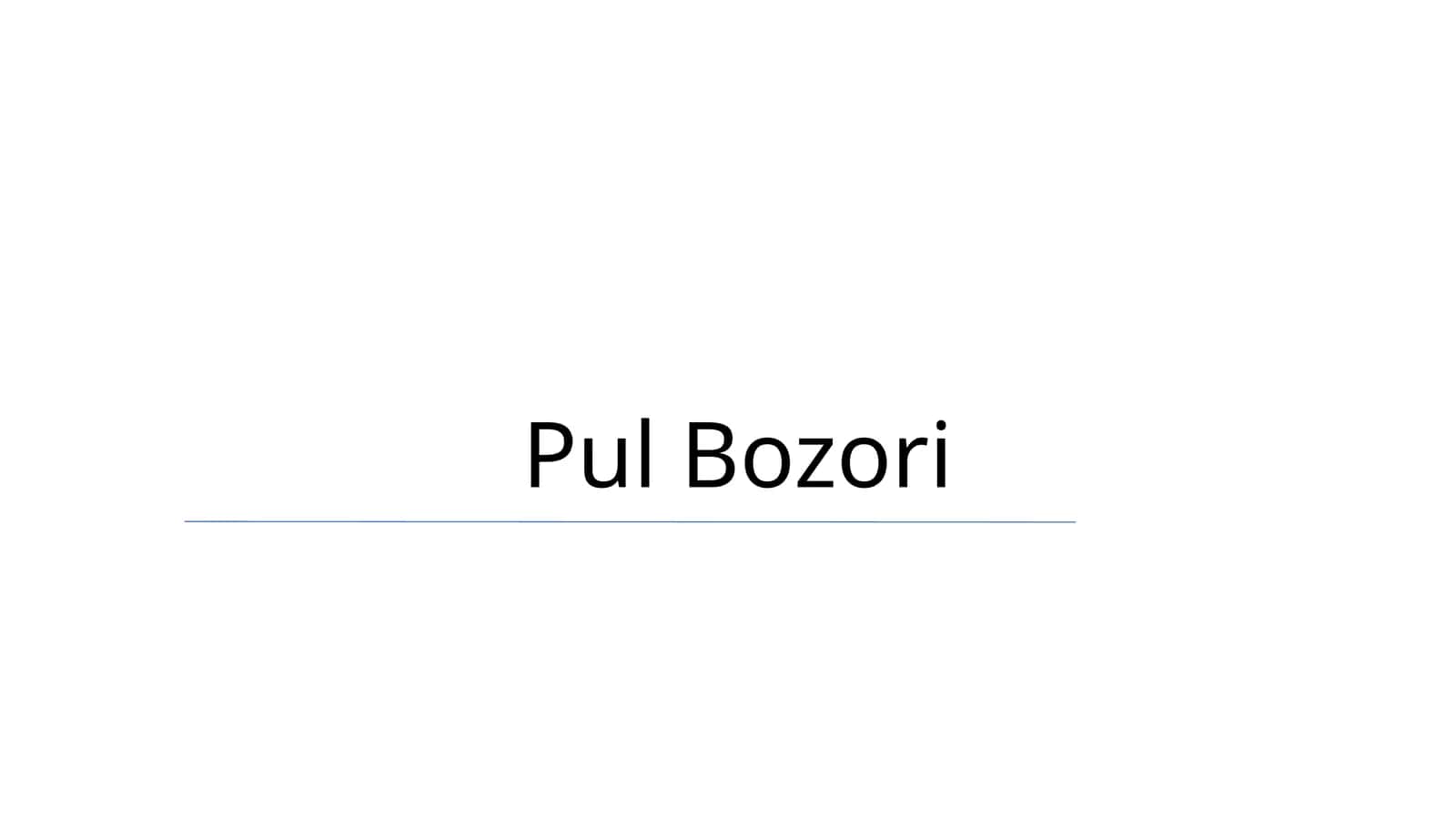 Pul Bozori 1