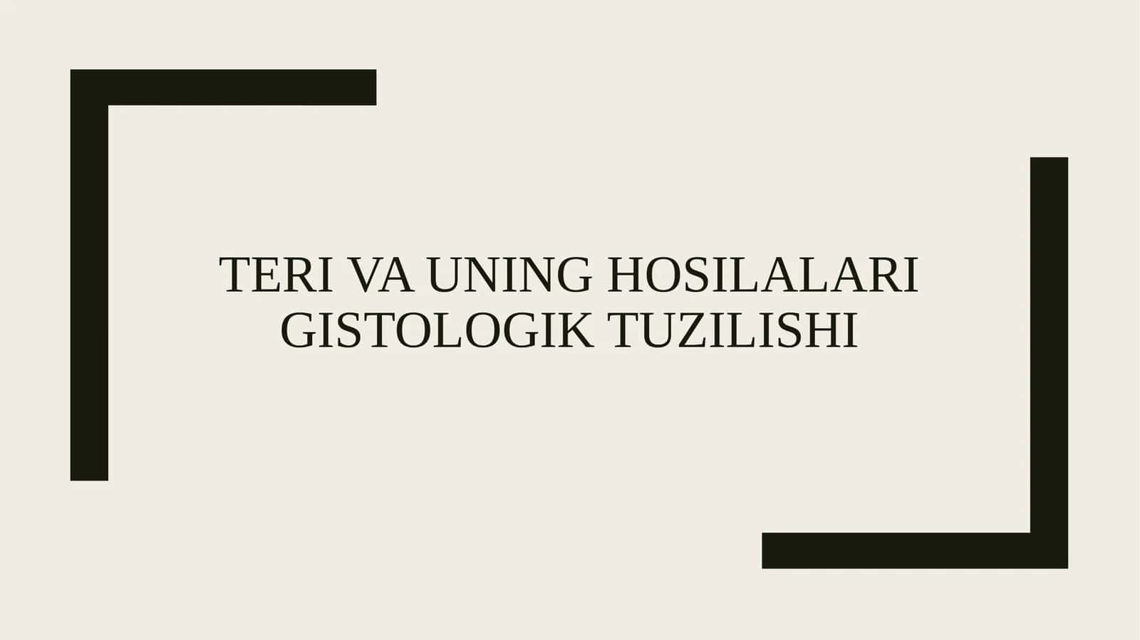Teri va uning hosilalari gistologik tuzilishi 1