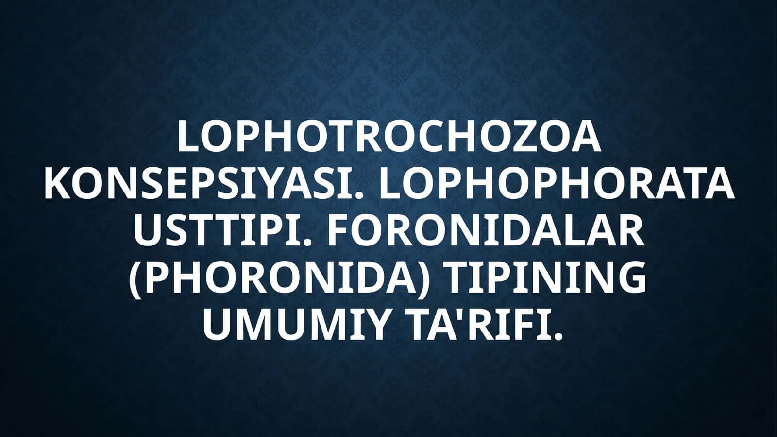 Lophotrochozoa konsepsiyasi. Lophophorata usttipi. Foronidalar (Phoronida) tipining umumiy ta'rifi. 1