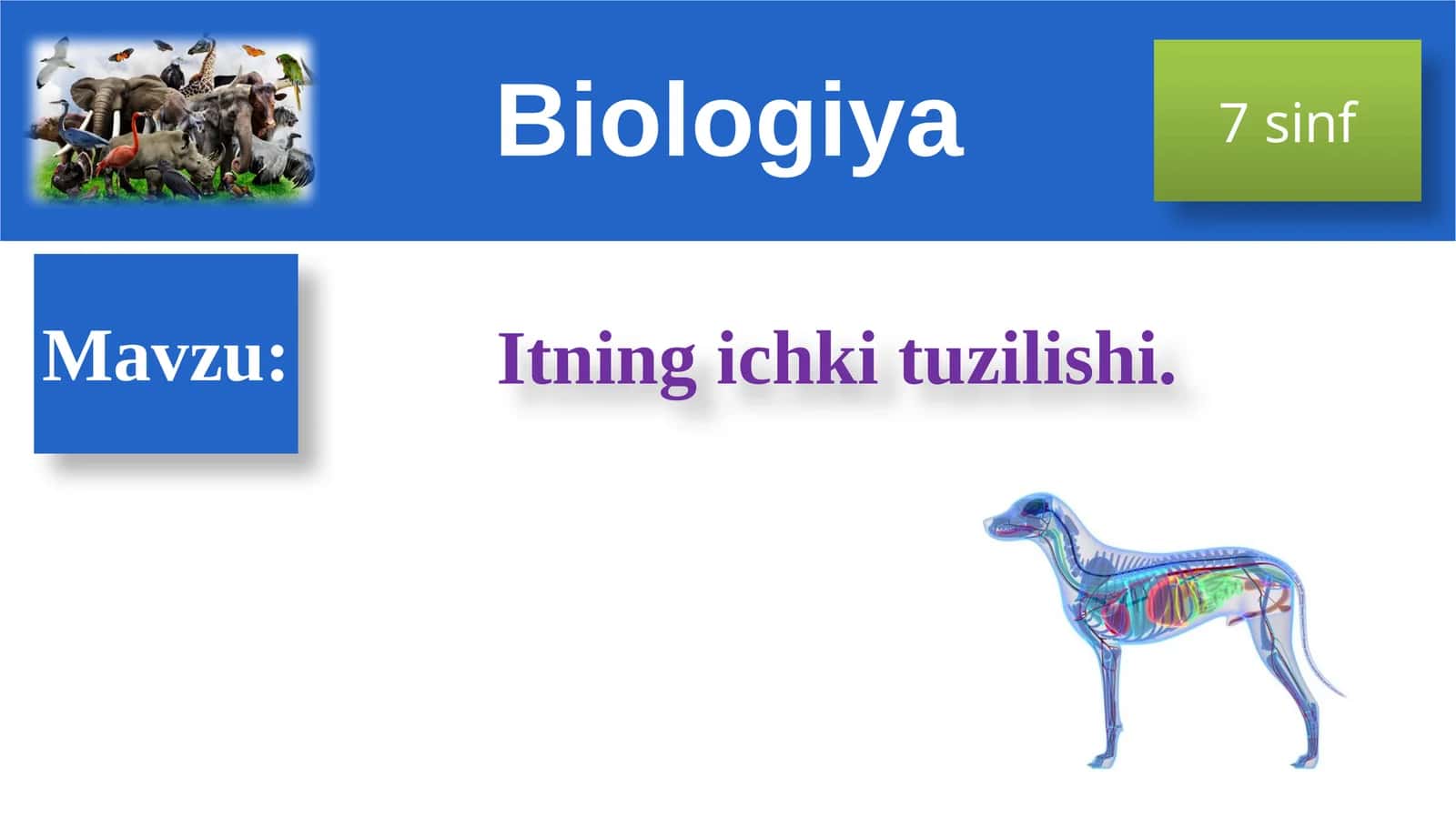 Itningichkituzilishi - Biologiya 7sinf DARS REJASI 1