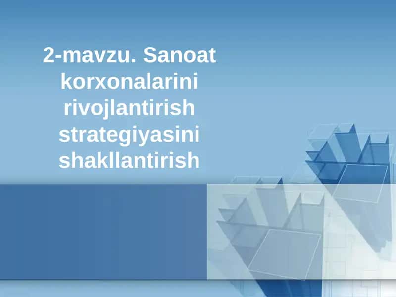Sanoat korxonalarini rivojlantirish strategiyasini shakllantirish 1