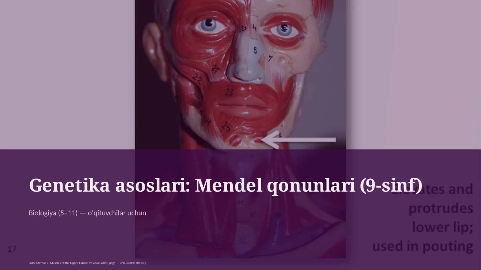 Genetika asoslari: Mendel qonunlari (9-sinf) 1