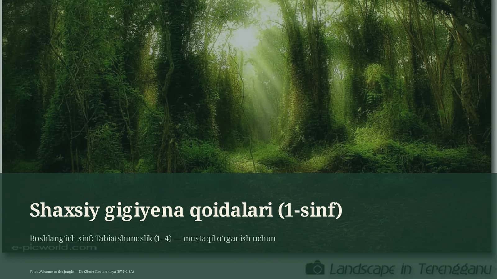 Shaxsiy gigiyena qoidalari (1-sinf) 1
