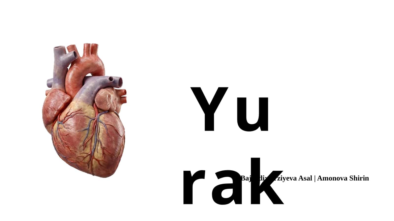Yurak 1