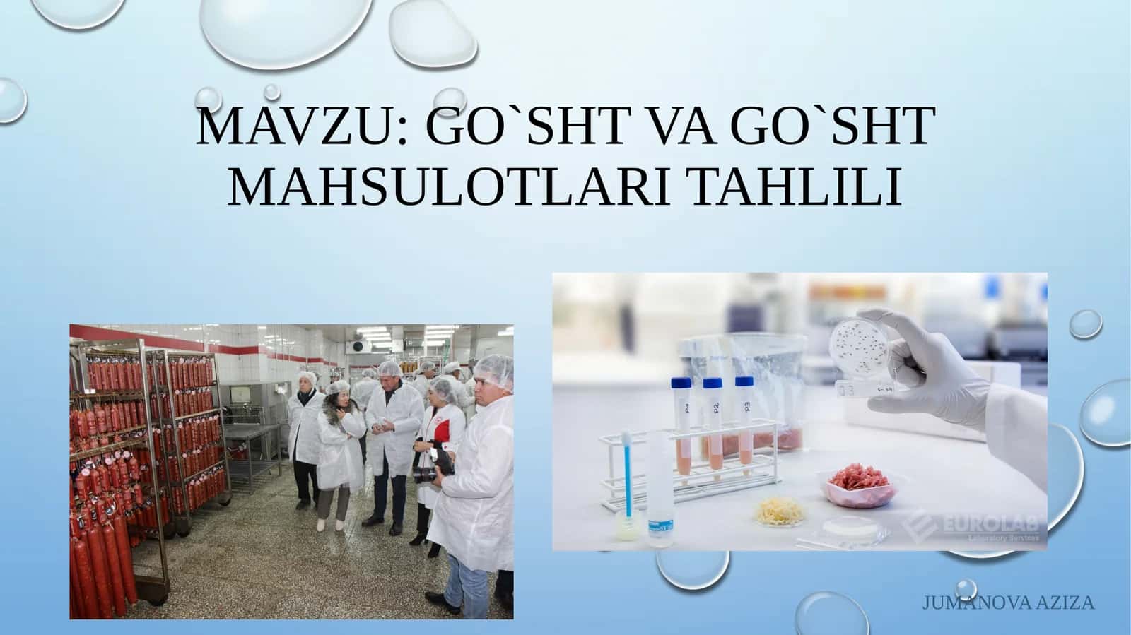 Go'shtning rangi va go'sht mahsulotlari 1