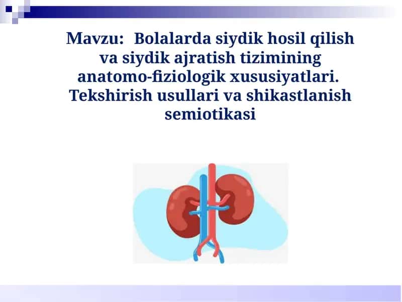 Bolalarda siydik hosil qilish va siydik ajratish tizimining anatomo-fiziologik xususiyatlari 1