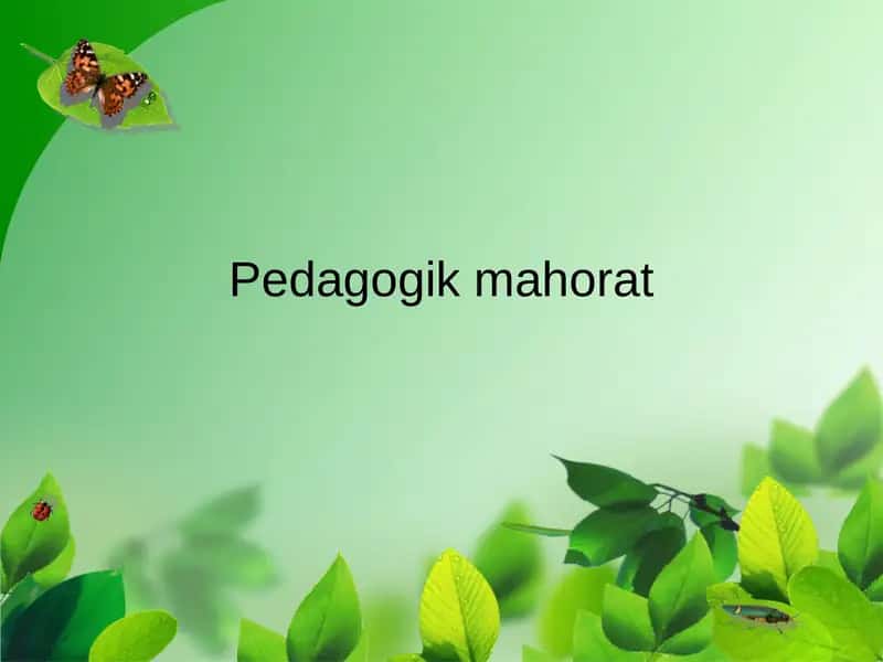 Pedagogikmahorat 1