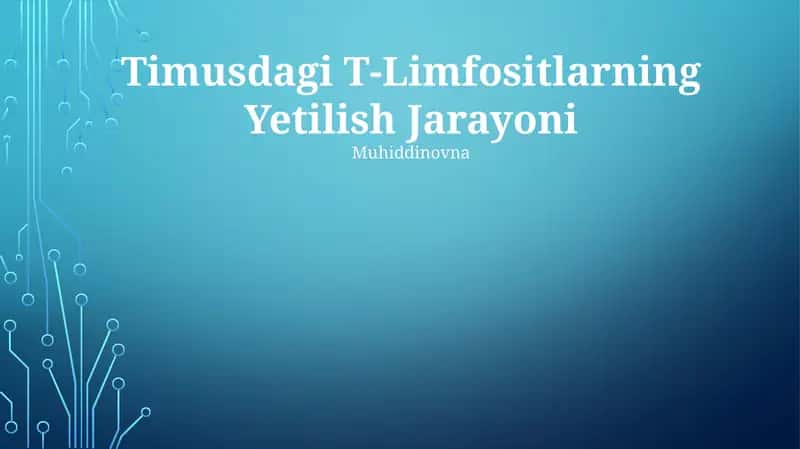 Timusdagi T-Limfositlarning Yetilish Jarayoni 1