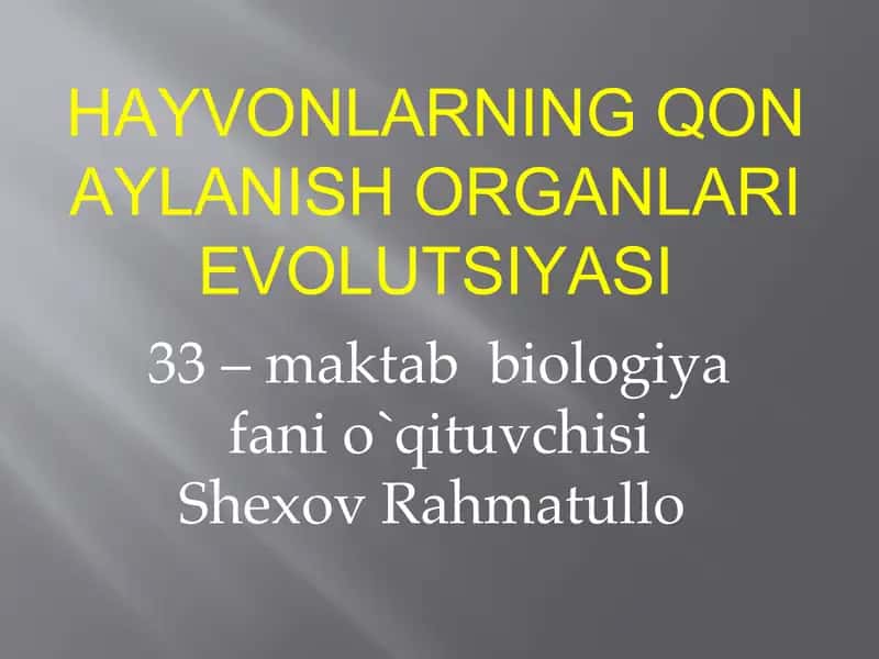 HAYVONLARNING QON AYLANISH ORGANLARI EVOLUTSIYASI 1