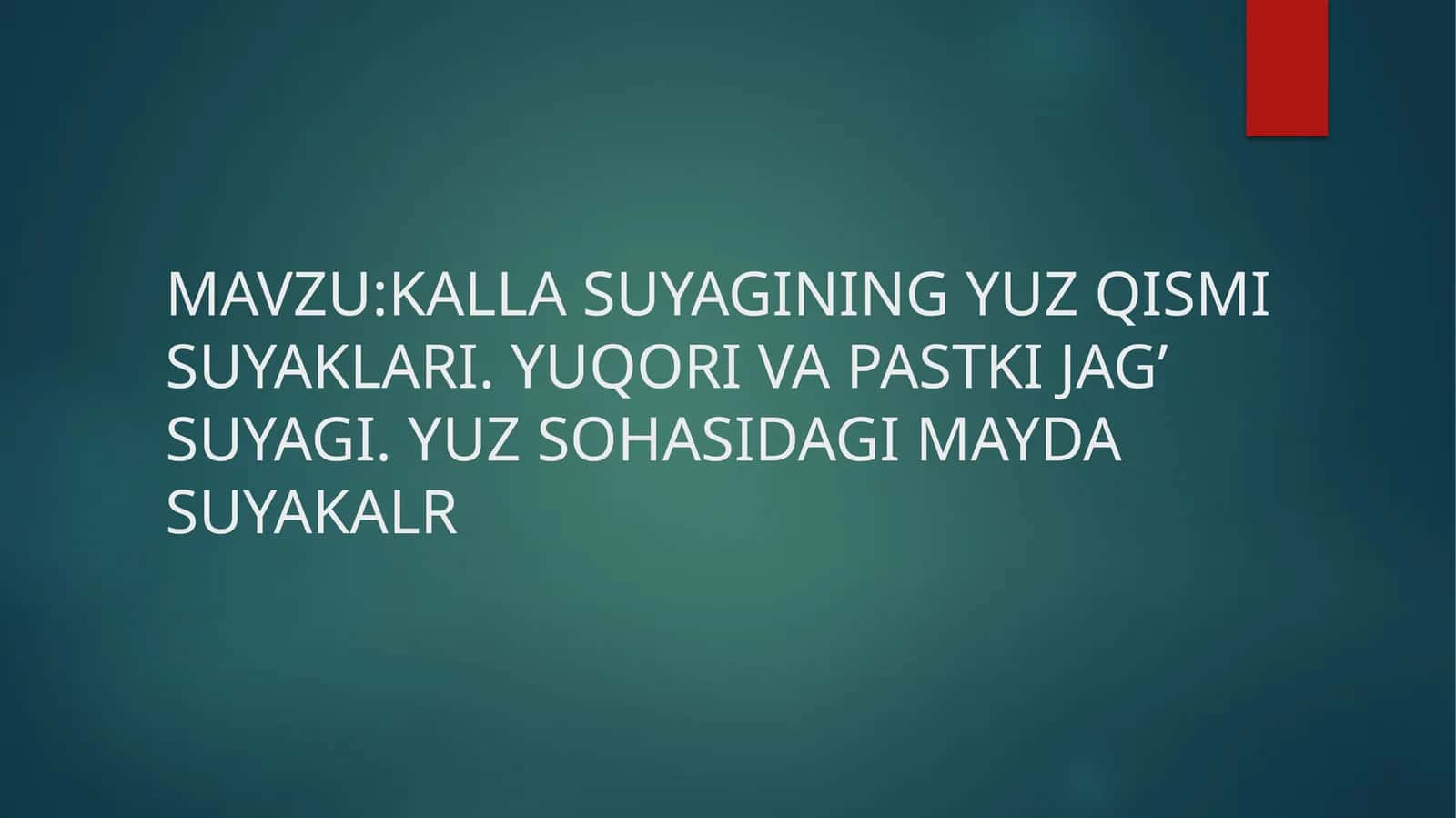 Yuz suyaklari 1