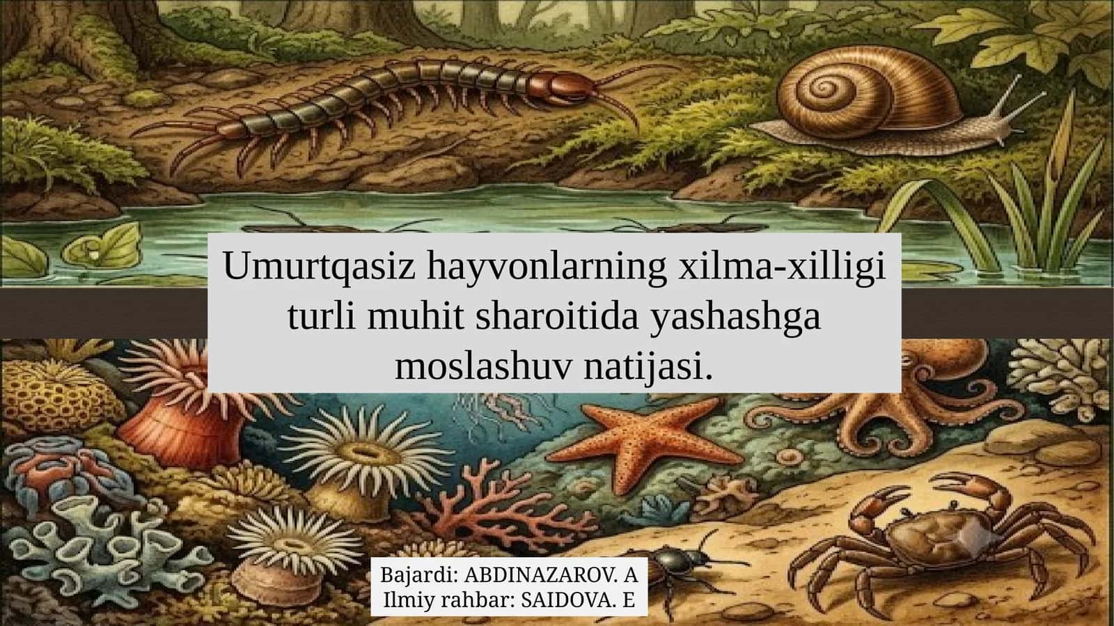 Umurtqasiz hayvonlarning xilma-xilligi turli muhit sharoitida yashashga moslashuv natijasi. 1