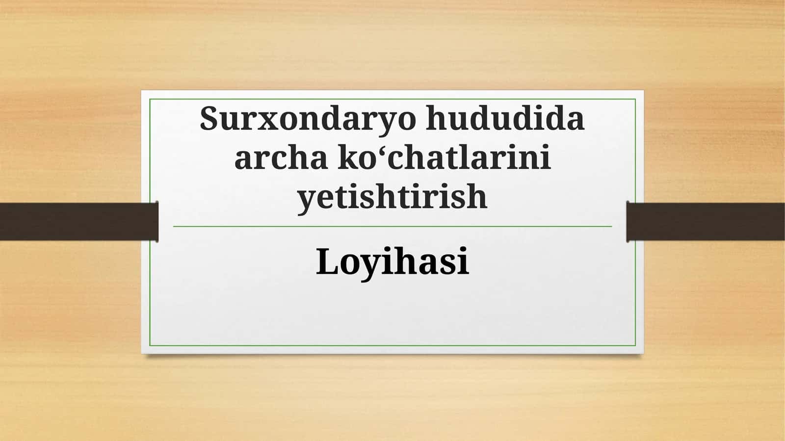 (100 millionlik loyiha ishi)  Surxondaryohududida archa ko‘chatlarini yetishtirish Loyihasi 1