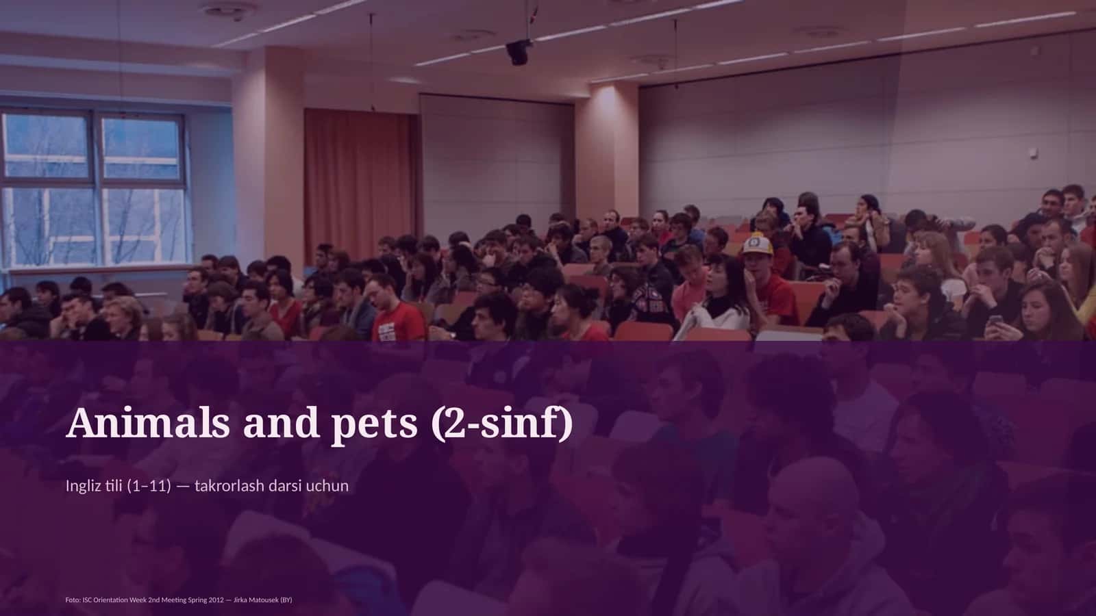 Animals and pets (2-sinf) Ingliz tili (1–11) — takrorlash darsi uchun 1