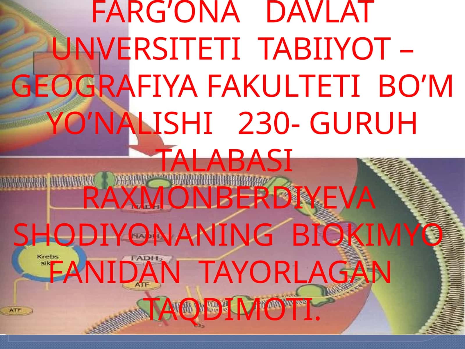 Nukleotidlar Nukleinkislotalarning Struktsura Elementlari 1