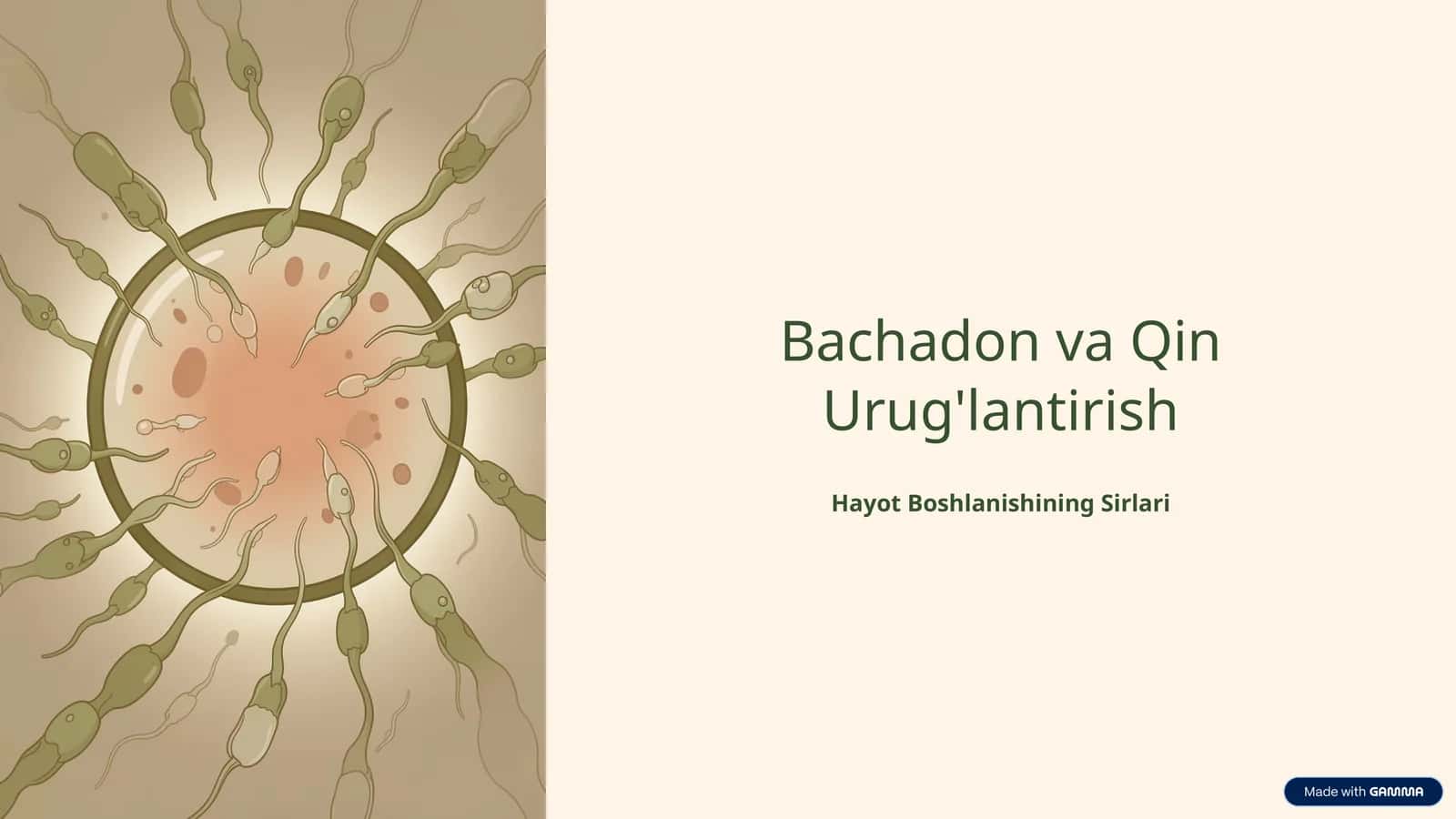 Bachadon va Qin Urug'lantirish 1