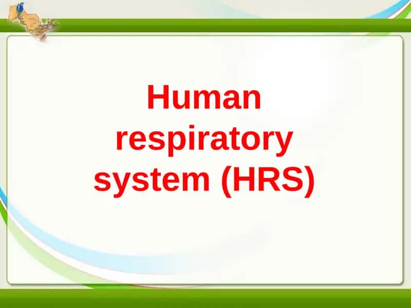 Human respiratory system (HRS) 1