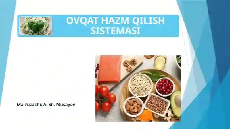 OVQAT HAZM QILISH SISTEMASI