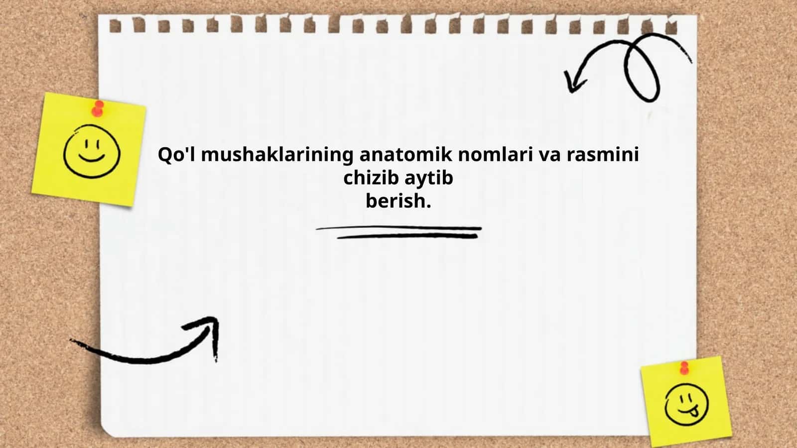 Qo'l mushaklarining anatomik nomlari va rasmini chizib aytib berish 1
