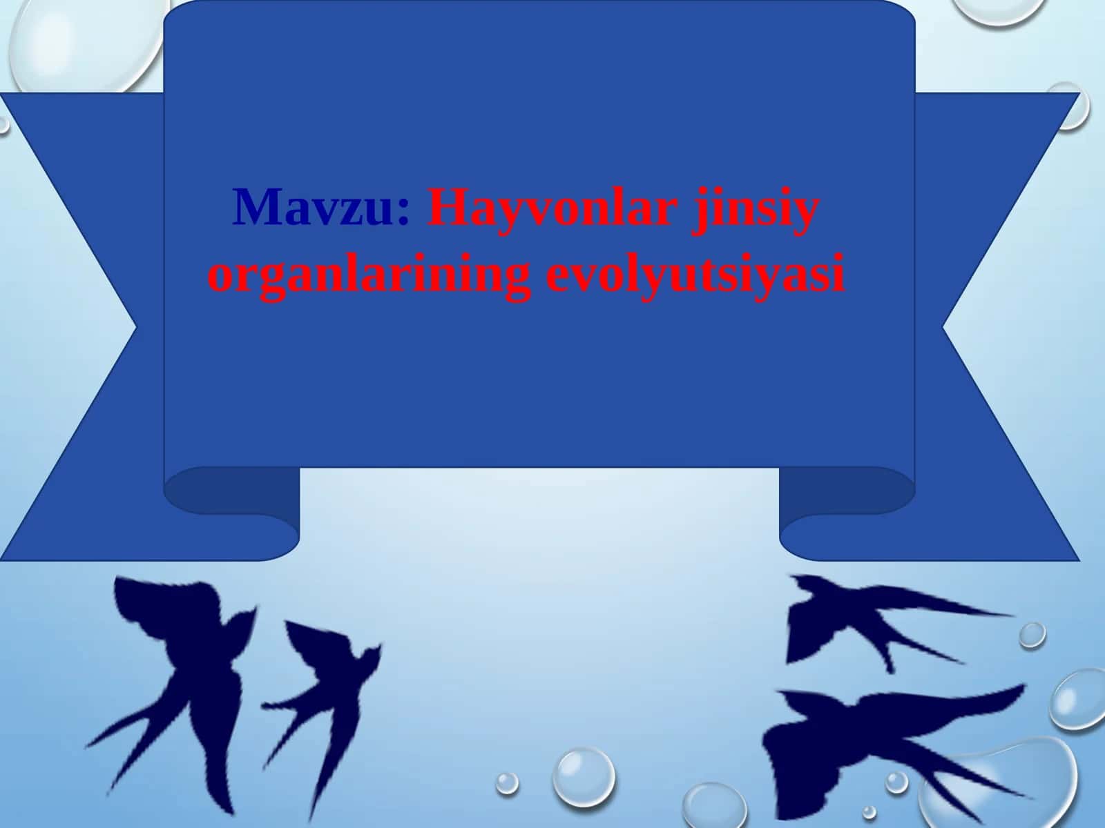 Hayvonlar jinsiy organlarining evolyutsiyasi 1