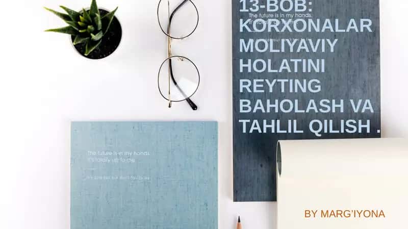KORXONALAR MOLIYAVIY HOLATINI REYTINGBAHOLASH VA TAHLIL QILISH 1