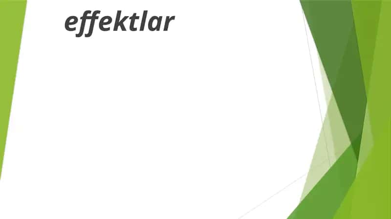 Animatsion effektlar 1