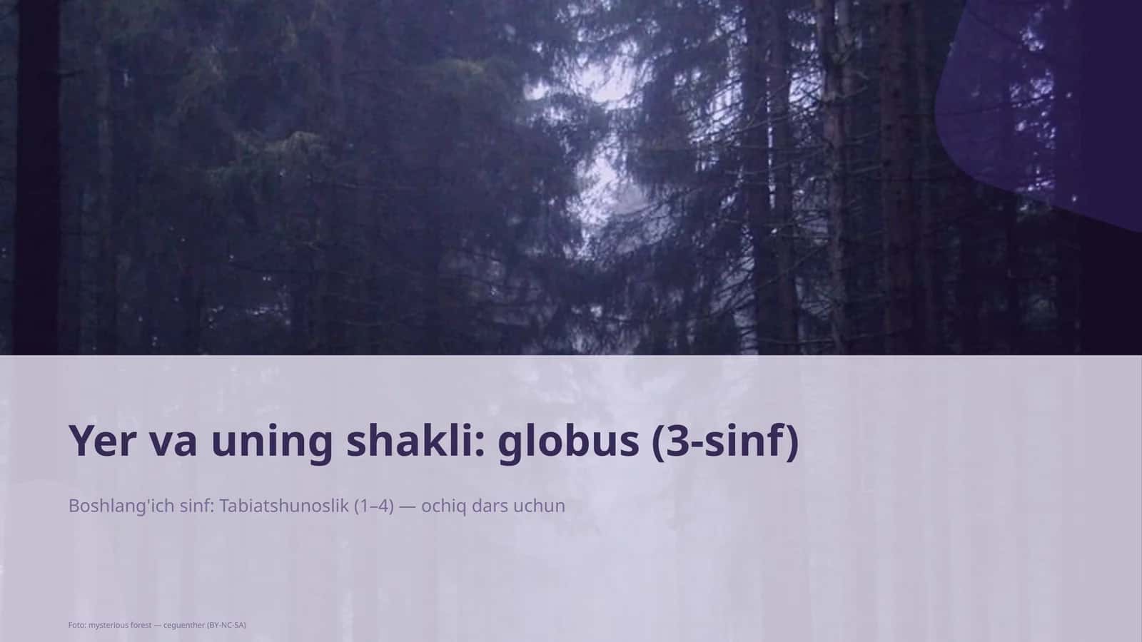 Yer va uning shakli: globus (3-sinf) 1