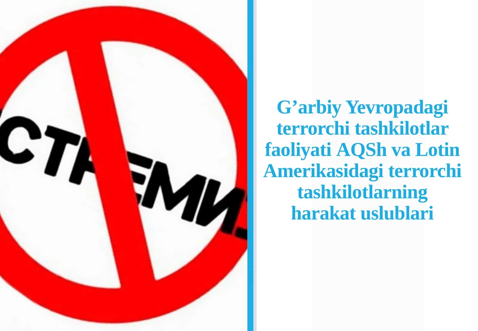 Gʼarbiy Yevropadagi terrorchi tashkilotlar faoliyati, АQSh va Lotin Amerikasidagi terrorchi tashkilotlarning harakat uslublari 1
