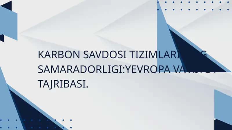 Karbon savdosi tizimlarining samaradorligi:Xitoy va Yevropa tajribasi 1