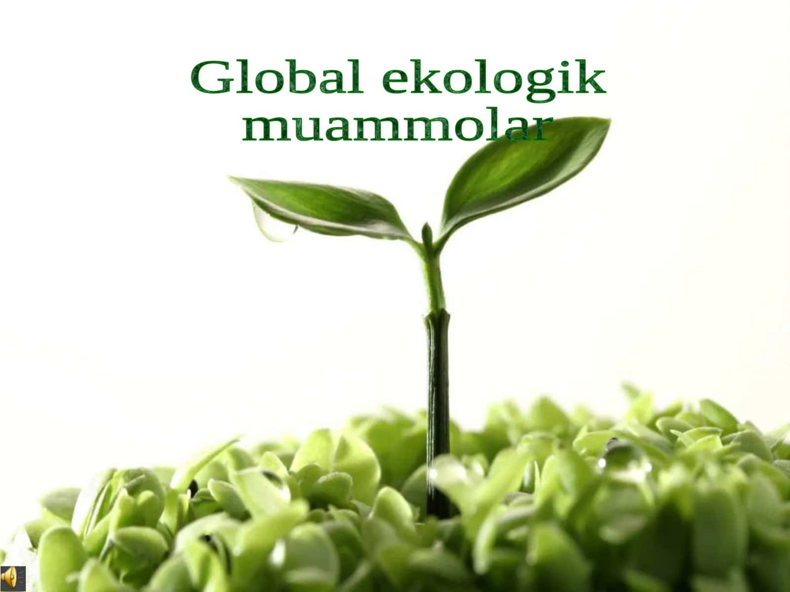 Global Ekologik Muammolar 1