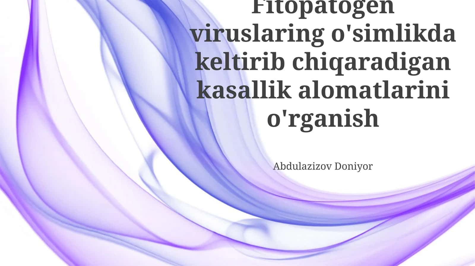 Fitopatogen viruslar keltirib chiqaradigan kasallik alomatlarini o'rganish 1