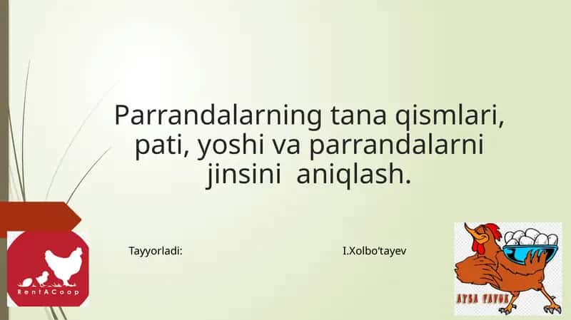 Parrandalarning tanaqismlari, pati, yoshi va parrandalarning jinsini aniqlash 1