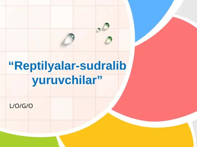 Sudralib Yuruvchilar Sinfi 1