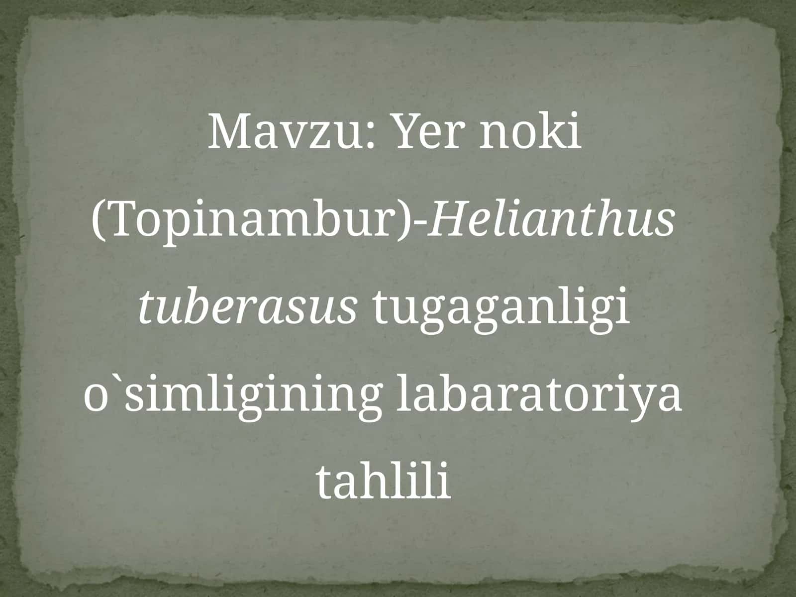 Yernoki(Topinambur)-Helianthustuberasustugaganligio`simligininglabaratoriyatahlili 1