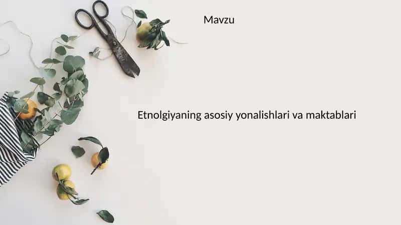 Etnolgiyaning asosiy yonalishlari va maktablari 1