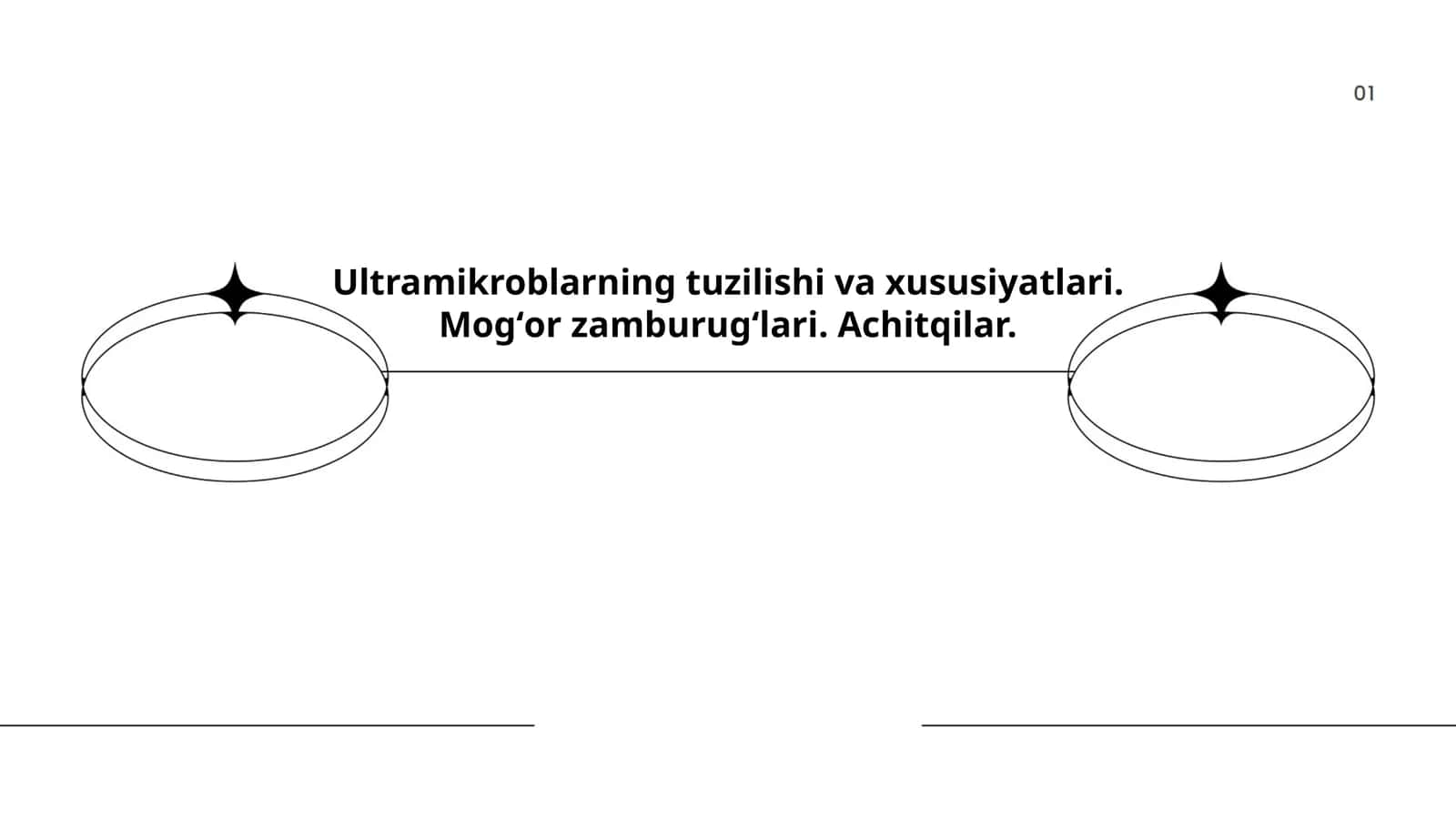 Ultramikroblarning tuzilishi va xususiyatlari 1