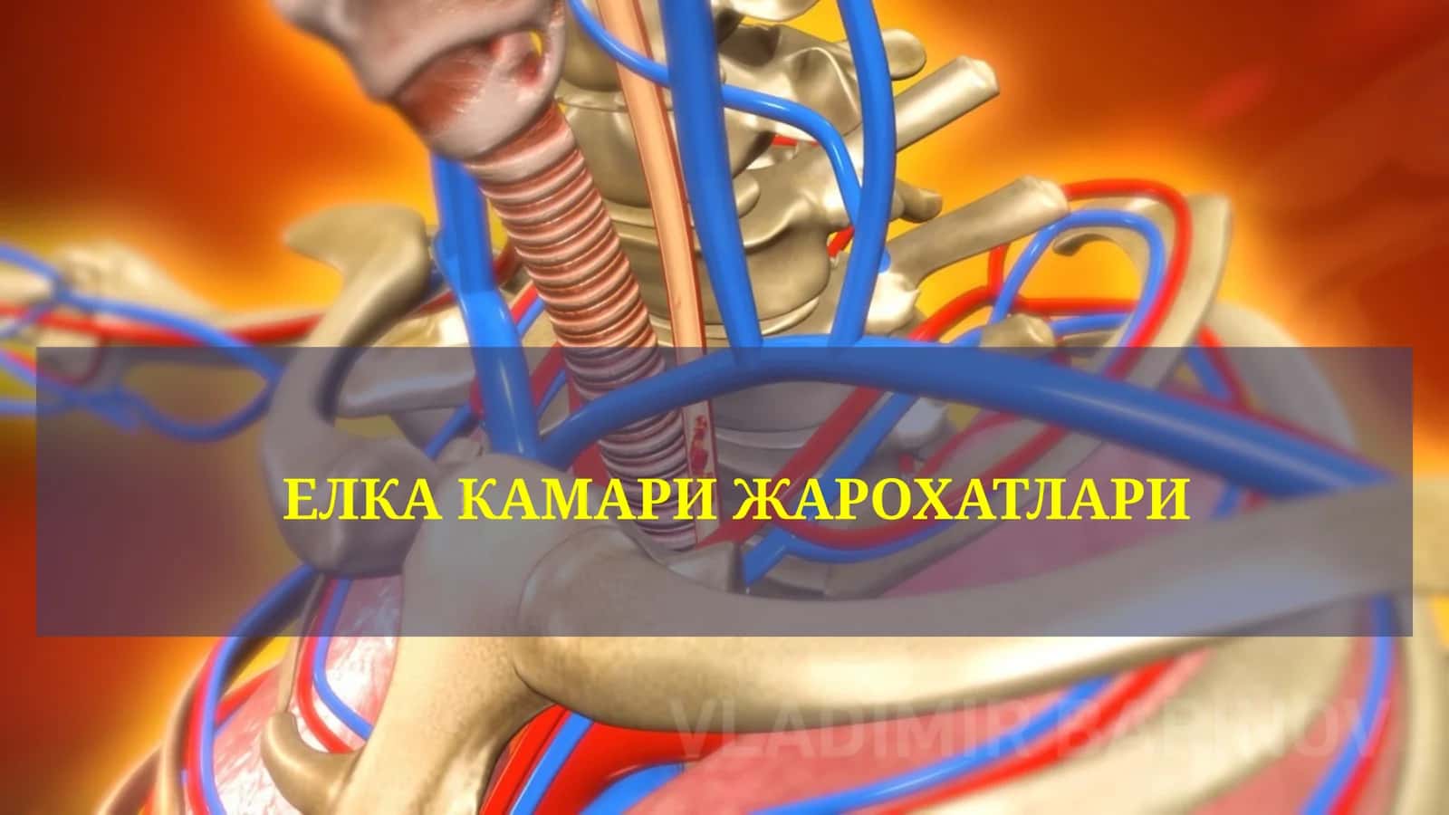 ЕЛКА КАМАРИ ЖАРОХАТЛАРИ 1