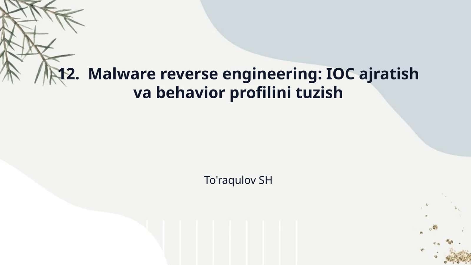 12.  Malware reverse engineering: IOC ajratish va behavior profilini tuzish 1