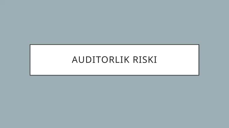 Auditorlik riski 1