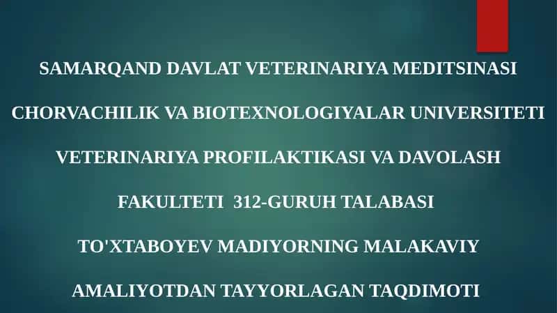 TALABASI TO'XTABOYEV MADIYORNING MALAKAVIY AMALIYOTDAN TAYYORLAGAN TAQDIMOTI 1