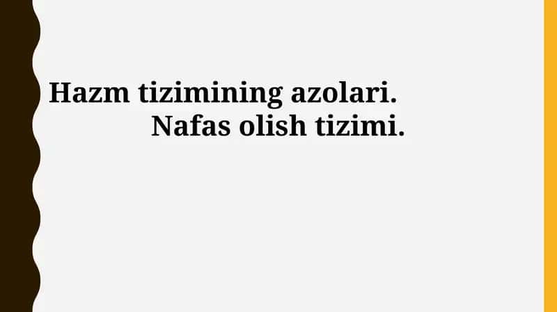 Ovqat hazm qilish tizimi 1