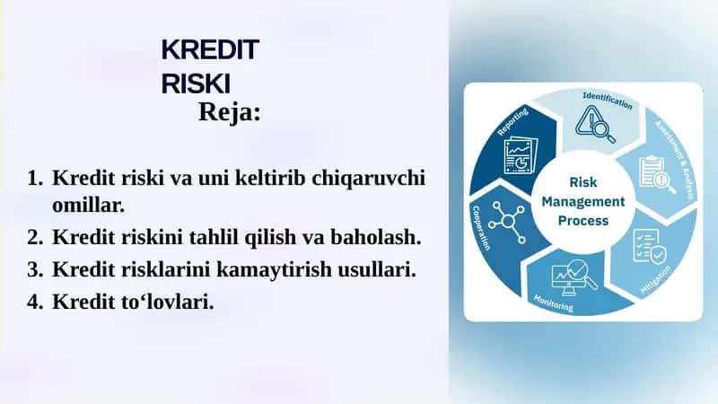 KREDIT RISKI 1