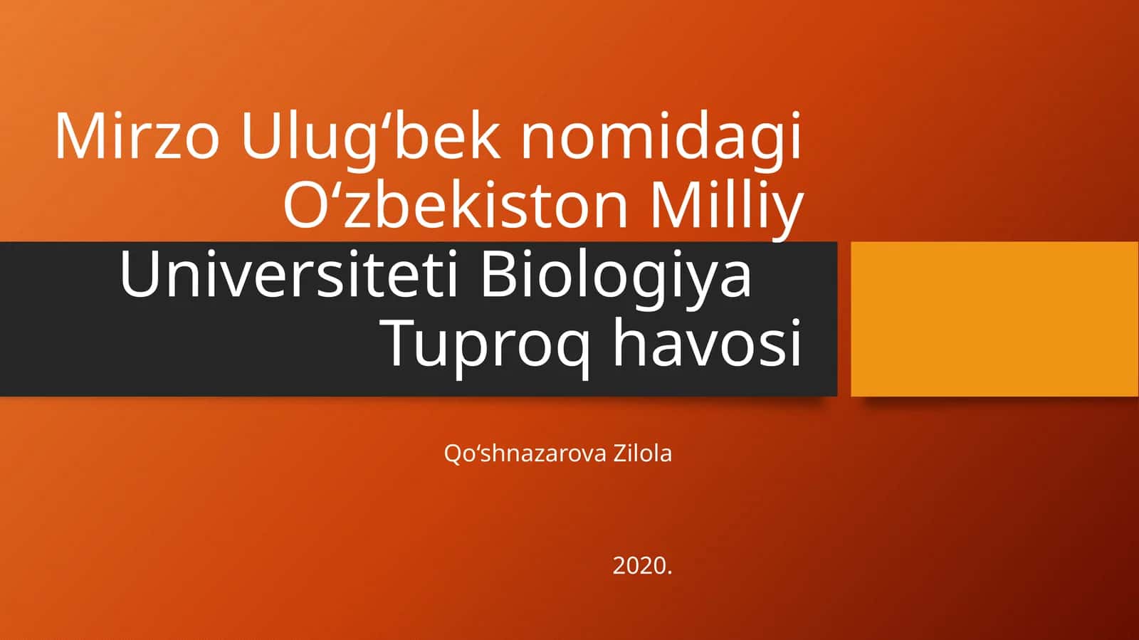 Mirzo Ulug‘bek nomidagi O‘zbekiston Milliy Universiteti, Biologiya Tuproq havosi 1