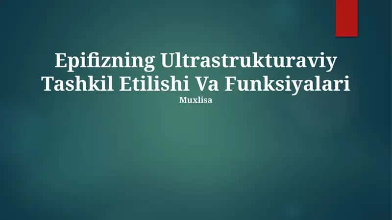 Epifizning Ultrastrukturaviy Tashkil Etilishi Va Funksiyalari 1