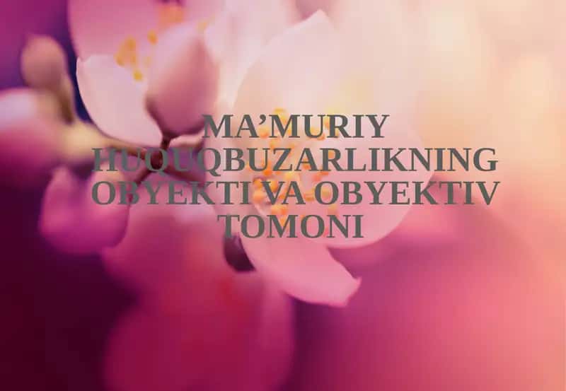 Ma’muriy huquqbuzarlikning obyekti va obyektiv tomoni 1