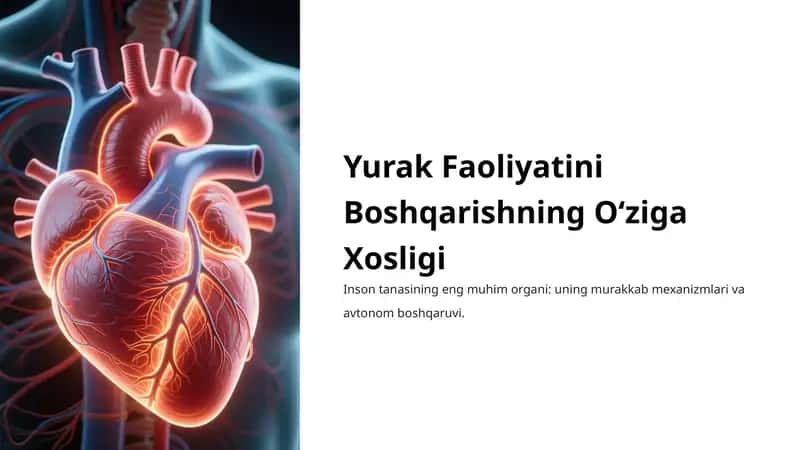 Yurak Faoliyatini Boshqarishning O‘ziga Xosligi 1