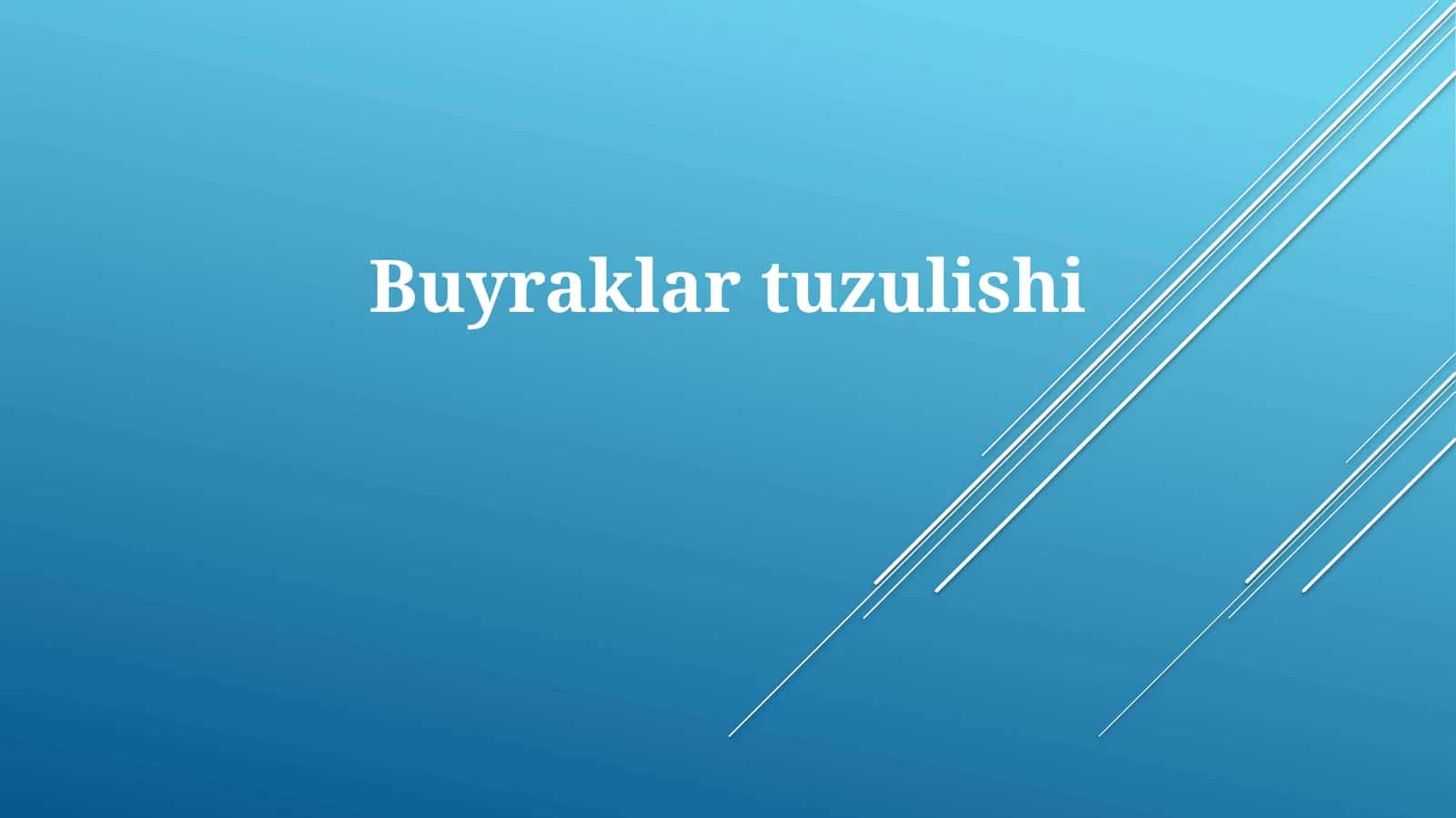 Buyraklartuzulishi 1