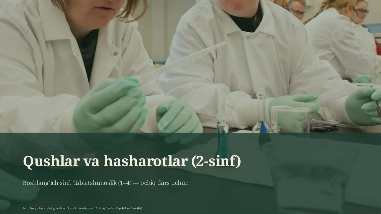 Qushlar va hasharotlar (2-sinf) 1