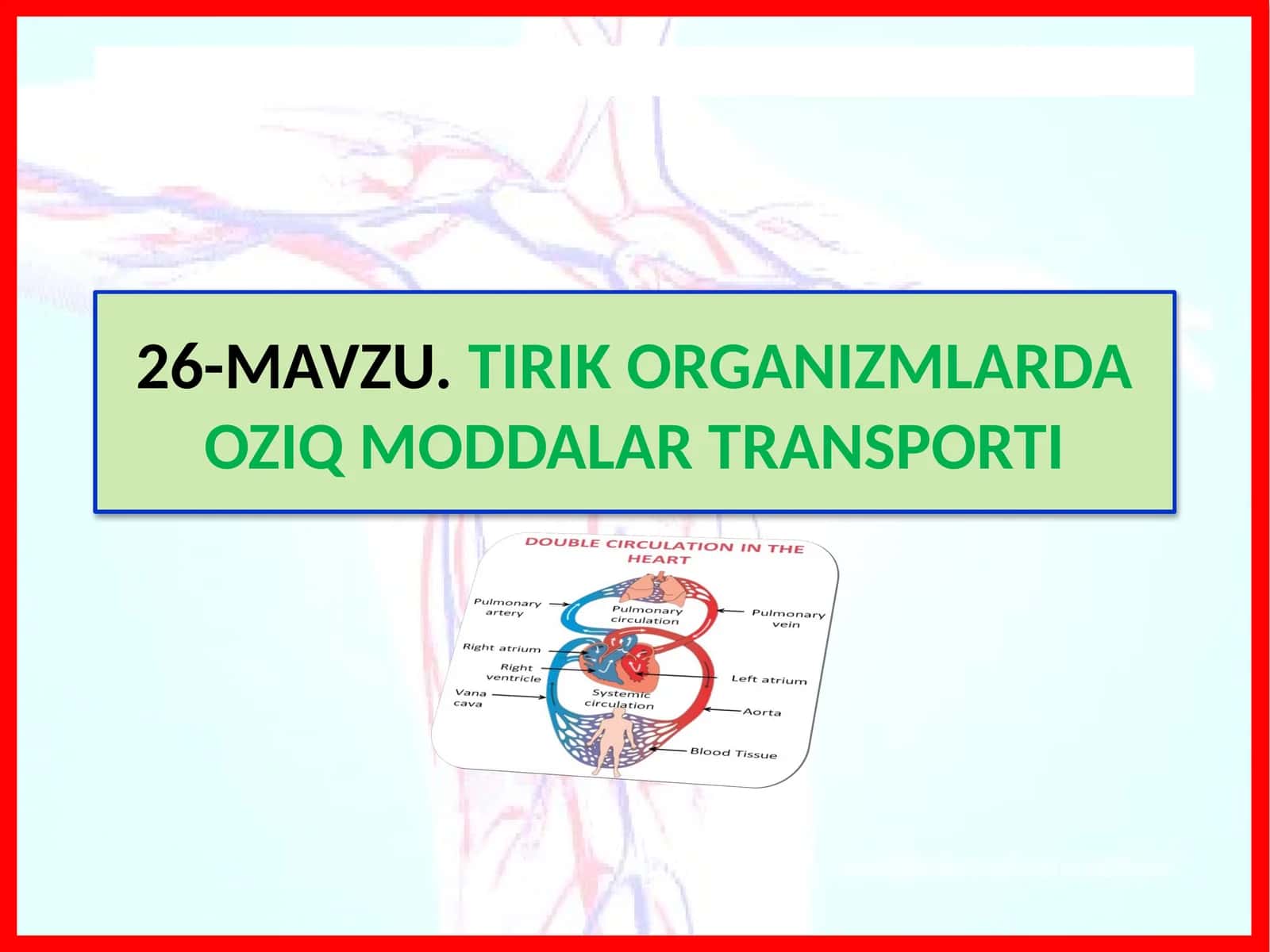 TIRIK ORGANIZMLARDA OZIQ MODDALAR TRANSPORTI 1