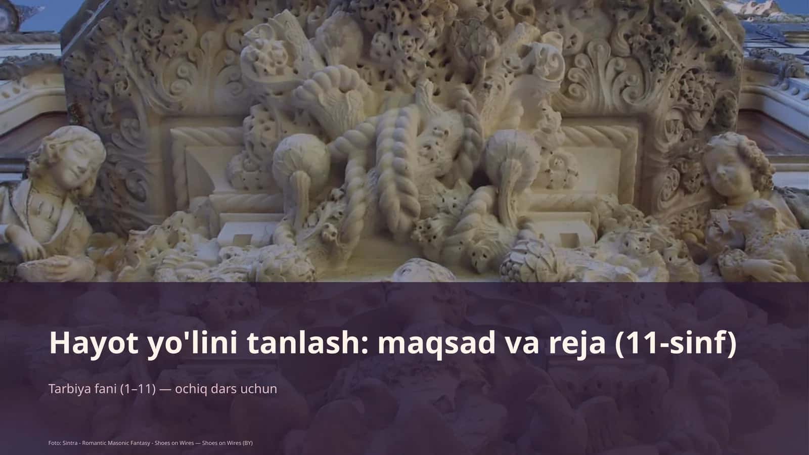 Hayot yo'lini tanlash: maqsad va reja (11-sinf) 1