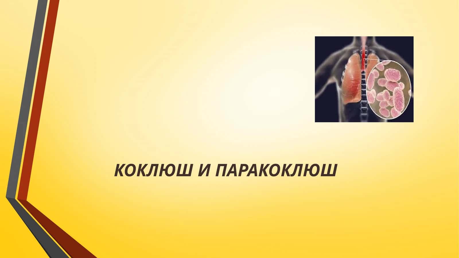 КОКЛЮШИ ПАРАКОКЛЮШ 1